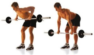 6.Cách tập gym để tăng cân với bài tập cơ lưng Bent Over Barbell Row