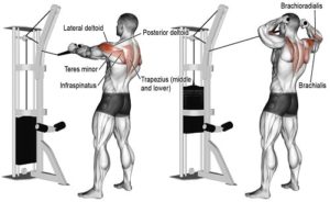 8.Bài tập kéo cáp gần mặt Face Pull