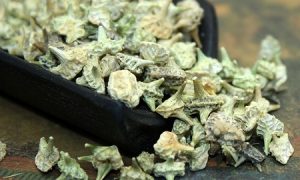 Thu hoạch và cách chế biến