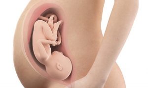 Quan hệ khi mang thai có thể gây sảy thai hay không?