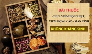 1.Bài thuốc Thanh Hầu Bổ Phế Thang