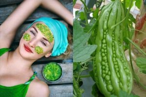 Cách chữa dị ứng mỹ phẩm trên da mặt với mướp đắng