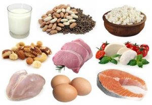 Thức ăn cung cấp nguồn đạm dồi dào