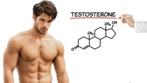 Phát triểm cơ bắp, chất béo và xương- Vai trò của hoocmon nam