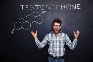 Vậy Testosterone được sinh ra ở đâu?