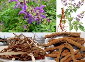 Bài thuốc tăng cường sinh lý cho nam giới số 5