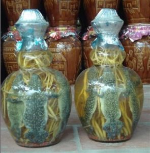 Các cách chữa bất lực tại nhà