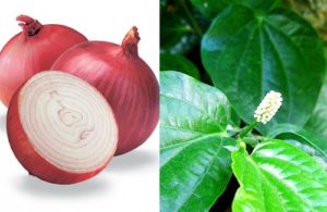 Củ hành + Lá lốt Viagra cho quý ông yếu sinh lý