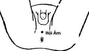 Chống xuất tinh sớm bằng cách bấm bấm huyệt hội âm