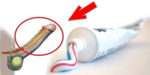 Dùng kem đánh răng để giữ cương