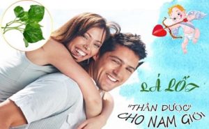 Ưu nhược điểm của việc sử dụng lá lốt để chữa yếu sinh lý