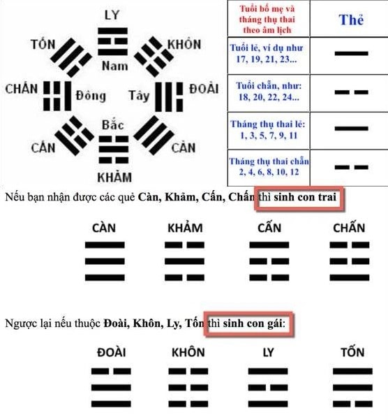 Dựa vào biểu đồ sinh con theo giới tính của người Trung Quốc