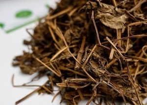 Uống nước rau diếp cá khô